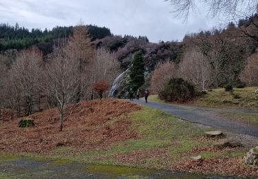 Trail Walking The Municipal District of Bray - waterfall - Photo