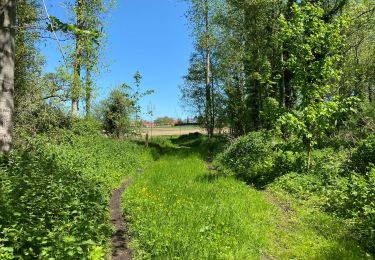 Tour Wandern Maarkedal - Louise Marie 15 km - Photo