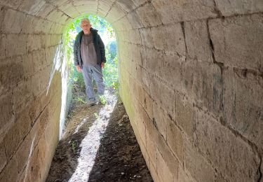 Tocht sport Villevieille - Villevieille capitelles  - Photo