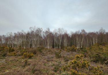 Tour Wandern Saint-Just - saint just - Photo