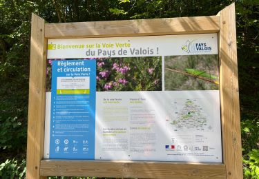 Trail Mountain bike Ormoy-le-Davien - 080722 - VTT 24 km - Photo