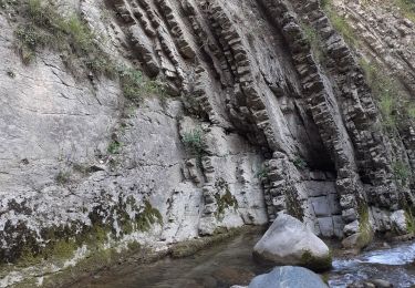 Trail Walking Saint-Jean-d'Arvey - berges bout du monde - Photo