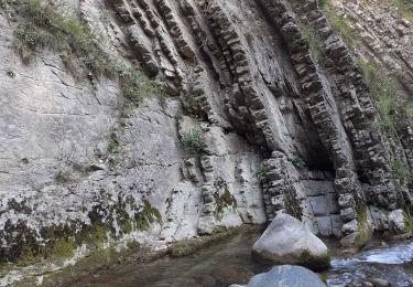 Tocht Stappen Saint-Jean-d'Arvey - berges bout du monde - Photo