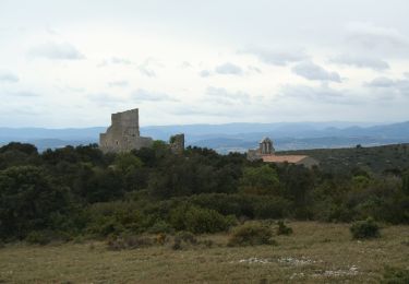 Percorso A piedi Aumelas - Château d'Aumelas - Photo