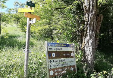 Trail Walking Salins-les-Bains - Salins les Bains 20200517 - Photo