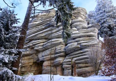 Tour Zu Fuß Weißenstadt - Rundwanderweg Weißenstadt Nr. 3 - Photo