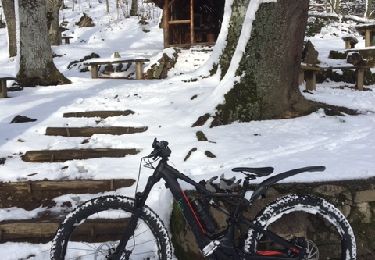 Trail Mountain bike Steinbach - 9011638-Tour des chapelles Thann-Cernay - Photo