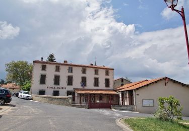 Trail On foot Sauvagnat-Sainte-Marthe - Le Puy Neyrand - Photo