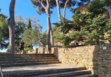 Randonnée Marche Bormes-les-Mimosas - Bormes les Mimosas les 3 cols fait - Photo