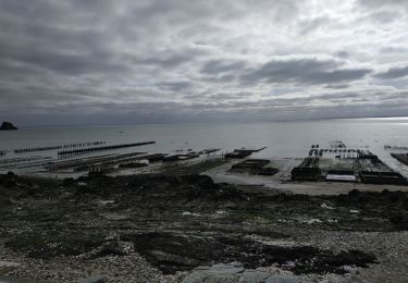 Trail Walking Cancale - 2024-03-19 boucle Cancale  - Photo