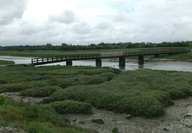 Tour Wandern Port-Bail-sur-Mer - 20240616-Les Dunes de Lindberg  - Photo