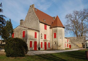 Randonnée Marche Saint-André-de-Cubzac - BALADE COTEAU DE MONTALON - Photo