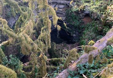 Tour Wandern Catus - Ballade du gouffre - Photo