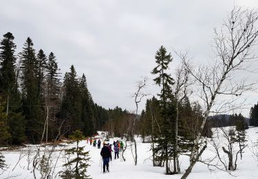 Tour Wandern Les Rousses - E Jura - matinée du samedi 25-01-2020 - le Pré Rodet - Photo