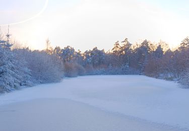 Trail Walking Spa - tour de la fagne de Malchamps dans la neige  - Photo