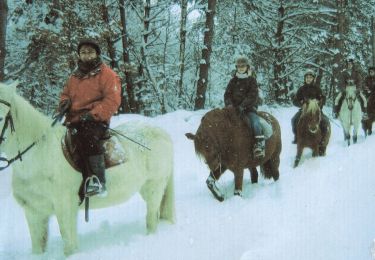 Trail Horseback riding Saint-Jacques-d'Ambur - SAINT JACQUES D'AMBUR / TIXERONT /  ST JACQUES 32 kms - Photo