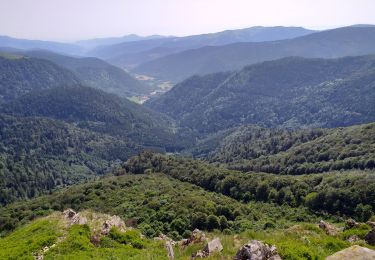 Tocht Stappen La Bresse - blanchemer  - Photo