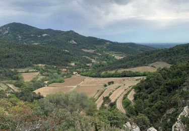 Excursión Senderismo Lafare - Dentelles de Montmirail  - Photo