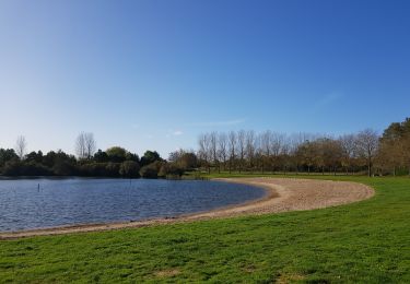 Tour Wandern Maasgouw - Thorn - Kessenich - Photo