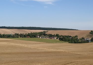 Trail Walking Messon - Bois Lorgne - Photo
