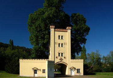 Randonnée A pied Gemeinde Berndorf - KIA Sportage Runde (Berndorf) - Photo