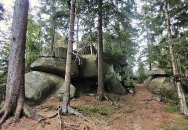 Trail On foot Wunsiedel - Bad Alexandersbad - Rundwanderweg Nr. 6 - - Photo