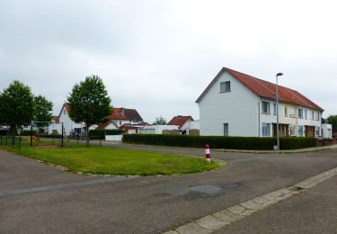Tocht Te voet Tienen - Bloesemwandeling lange versie - Photo