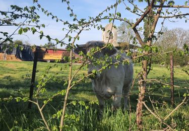 Randonnée Marche Vesly - Vesly côte de Guerny Gisancourt et le chêne, ferme de Nainville - Photo