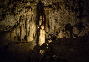 Excursión A pie Sainte-Colombe-de-Villeneuve - Sainte-Colombe-de-Villeneuve, vers les grottes de Lastournelles - 10.9 km - Photo