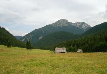 Randonnée A pied Witów - Polana Chochołowska - Polana Trzydniówka - Photo