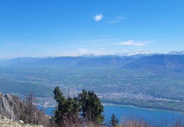Percorso Marcia La Chapelle-du-Mont-du-Chat - 140424 Dent du Chat 🐱  - Photo