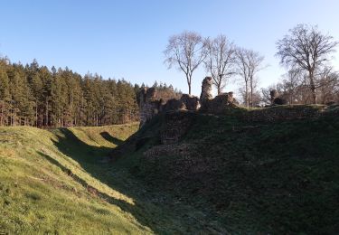 Tocht Stappen Montfort-sur-Risle - montfort sur risle - Photo