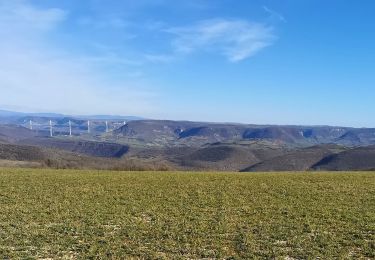 Tour Wandern Montjaux - Concoules Montjaux  - Photo