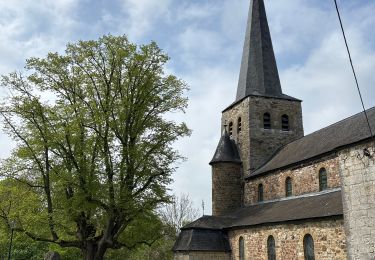 Tour Wandern Durbuy - Wéris  - Photo