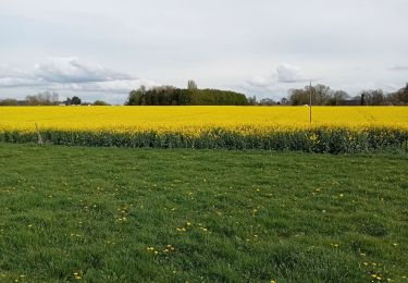 Tocht Stappen Routot - Routot , Croix - Sainte-Marie , La Haie de Routot  - Photo