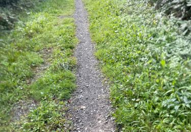 Percorso Mountainbike Comblain-au-Pont - Comblain-au-Pont-boucle transferusienne 44 Km - Photo