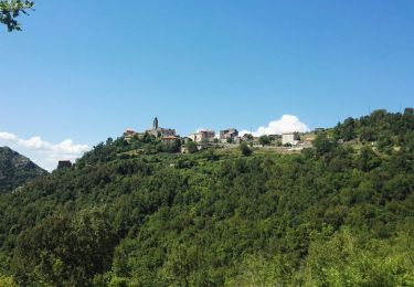 Tour Wandern Santa-Lucia-di-Mercurio - St Martinu - Photo