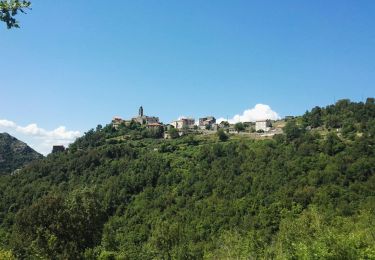 Trail Walking Santa-Lucia-di-Mercurio - St Martinu - Photo