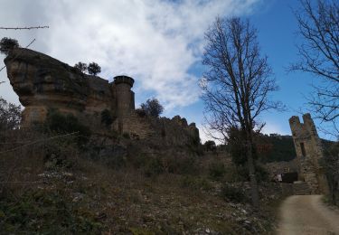 Randonnée Marche Rivière-sur-Tarn - Puech de Fontaneilles - Photo