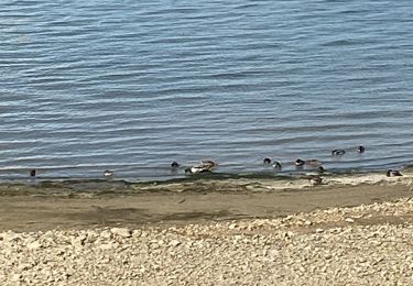 Tour sport Giffaumont-Champaubert - Lac du der marne - Photo