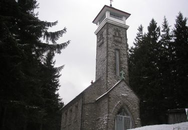 Tour Zu Fuß Milíkov - NS krajinou dávných horalů - Photo