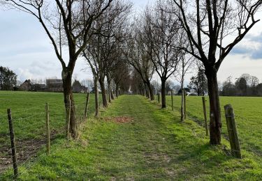 Excursión Senderismo Trooz - Forêt Meisier Magnee retour par la carrière  - Photo