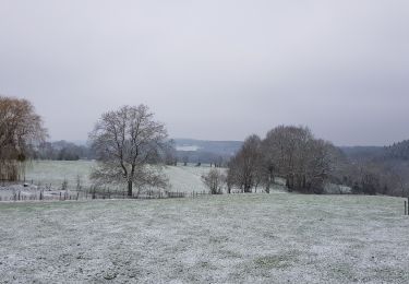 Tocht Stappen Sprimont - Banneux - Photo