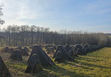 Trail Walking Simmerath - A la découverte de Lammersdorf 🥾 - Photo