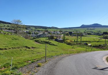 Trail Walking Les Estables - Rocher Tourte - Photo