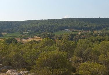 Tocht Stappen Châteauneuf-le-Rouge - Cengle de Negrel - Photo