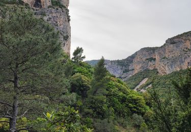 Tocht Stappen La Vacquerie-et-Saint-Martin-de-Castries - La Vacquerie St Guilhem  - Photo