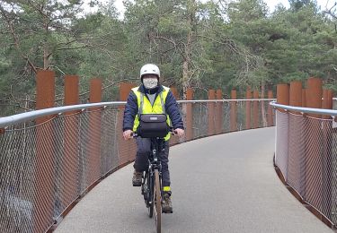 Percorso Bici da strada Zonhoven - bosland dans les arbres au limbourg - Photo