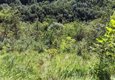 Trail Walking Villard-Saint-Sauveur - cascade de flumen - saut du chien - retour en partie par la route  - Photo