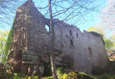Randonnée Marche Saint-Hippolyte - HKeselpfadSchaef - Photo
